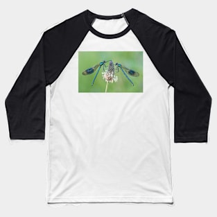 Two Male Banded Demoiselles on Plantain Stalk Baseball T-Shirt